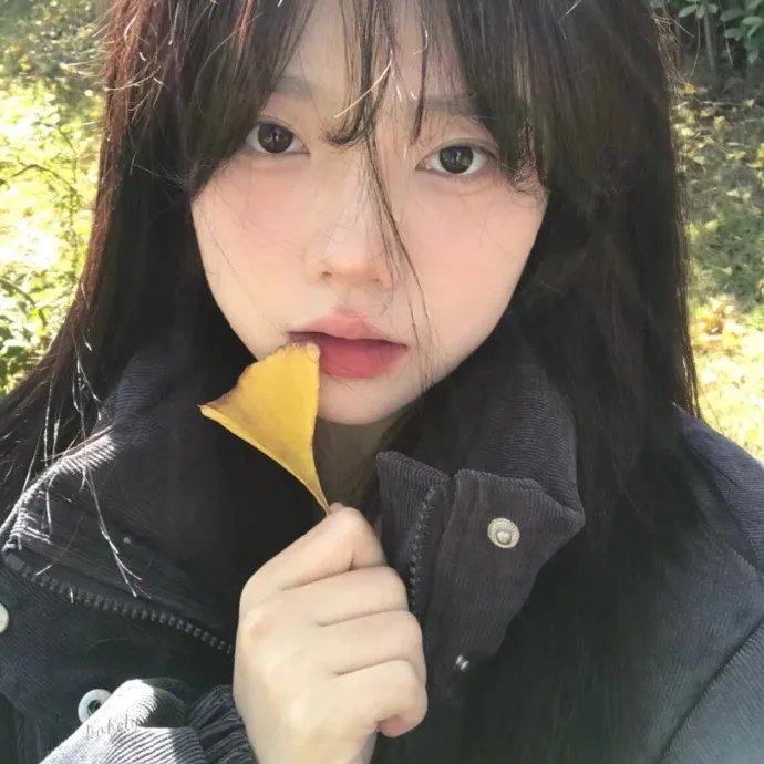 龙行龘龘